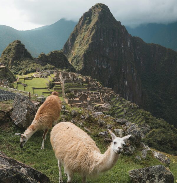 Senderos Sagrados en 2 Días: Valle Sagrado y Machu Picchu