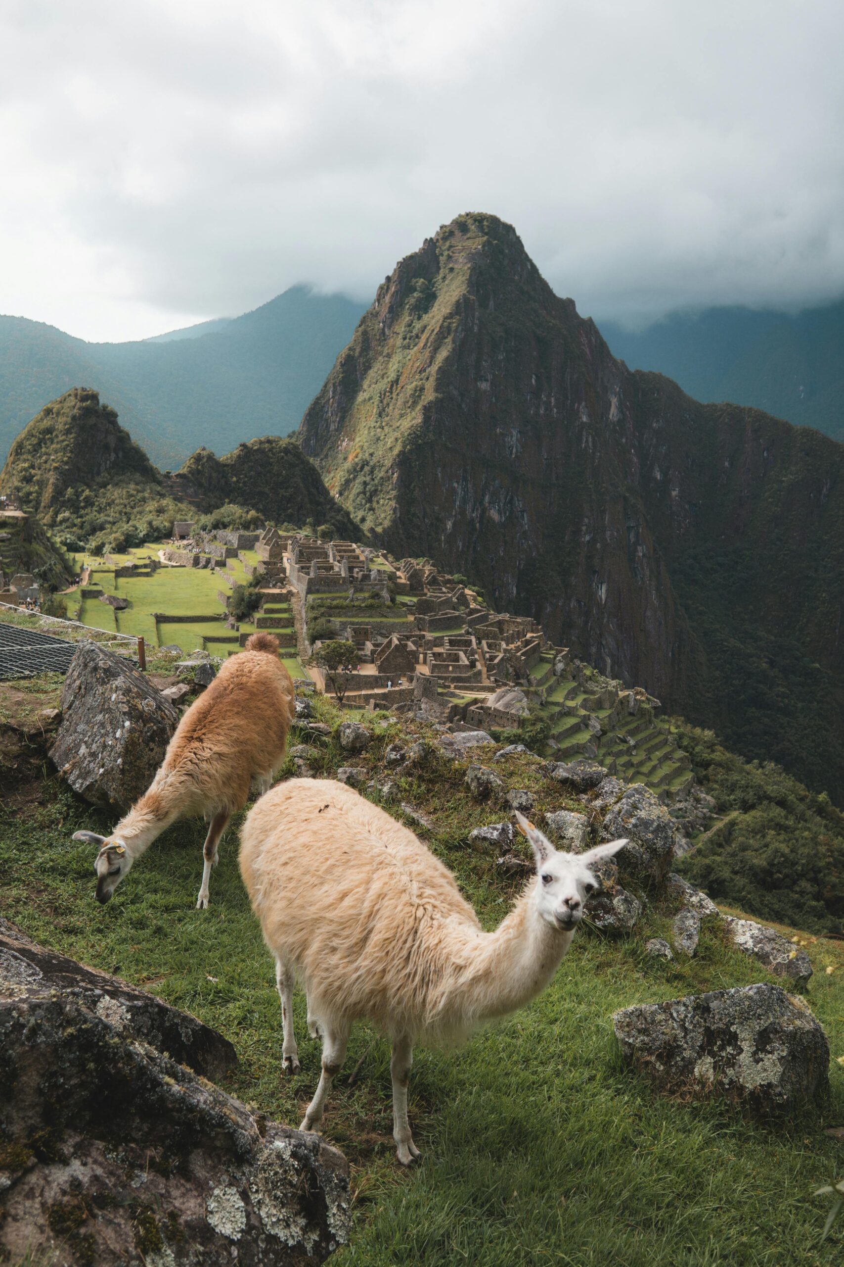 Senderos Sagrados en 2 Días: Valle Sagrado y Machu Picchu