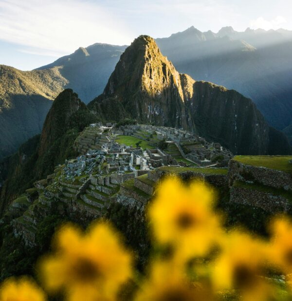 Conexión Ancestral de 1 Día - Machu Picchu