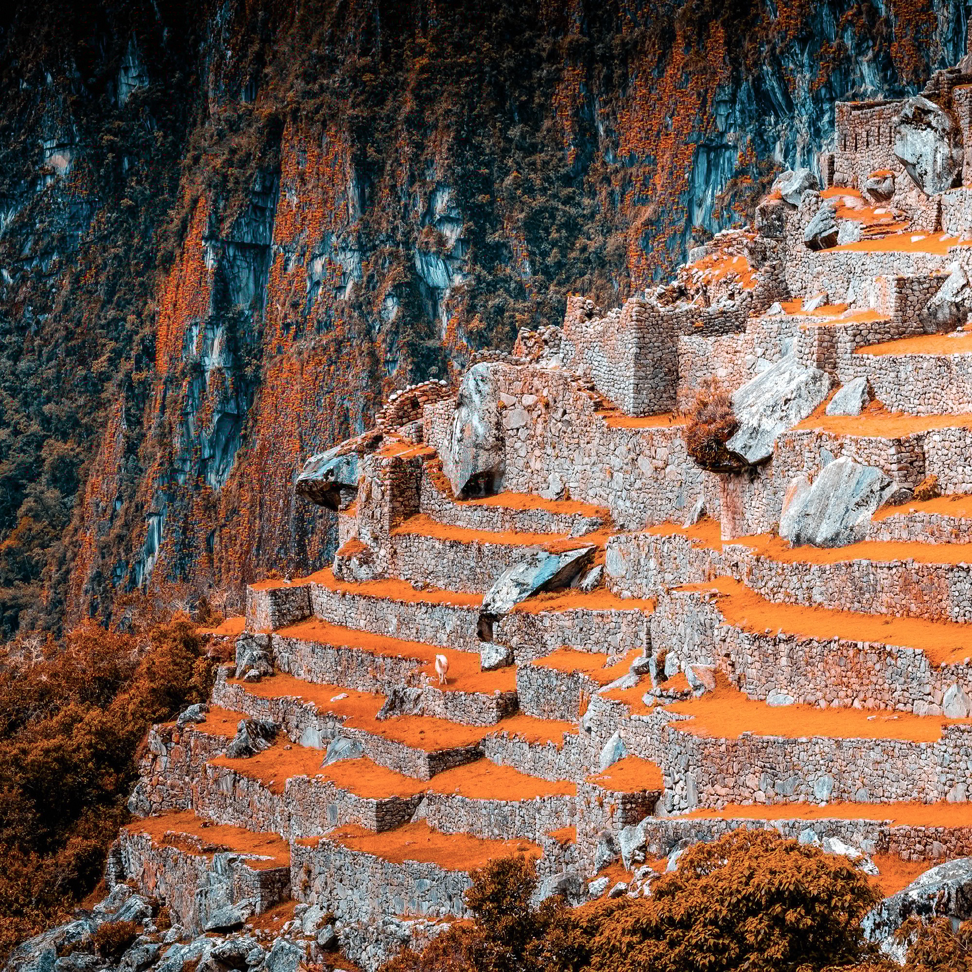 Machupicchu